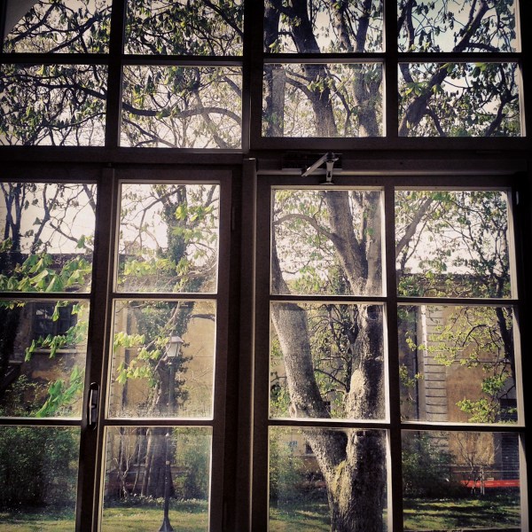 finestra_sul_cortile