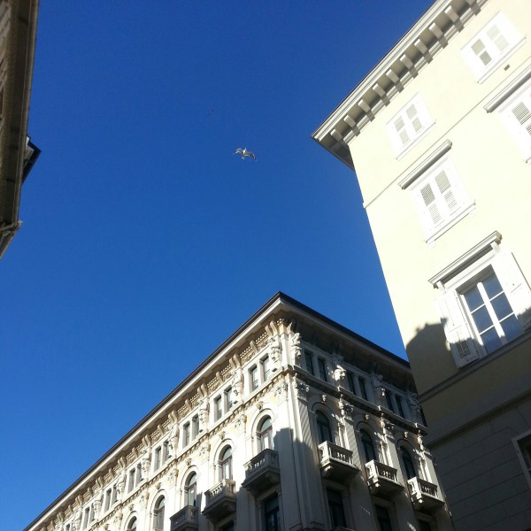 Cielo di Trieste