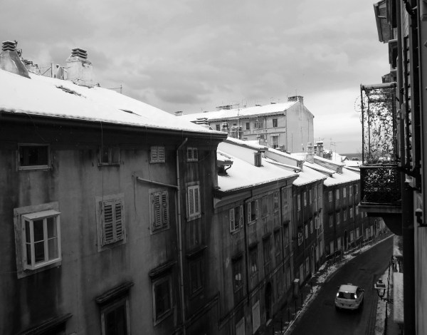 2012_12_08_SNOW_BW_LO