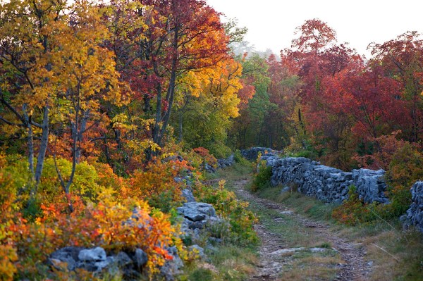 6309758020_7be4dd7a77_b