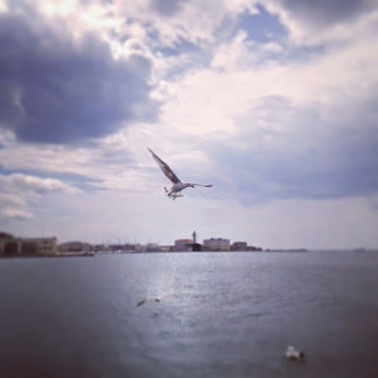 Foto giugno luglio 2014 725