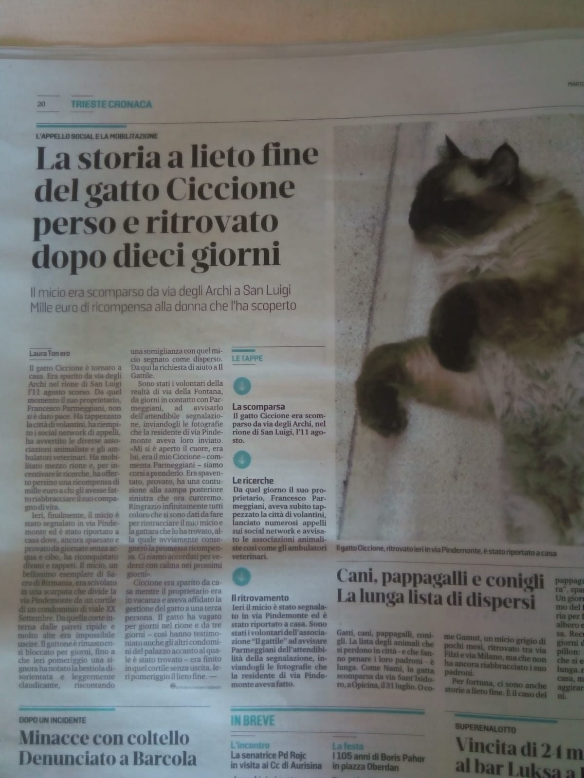 WhatsApp Image 2018-08-21 at 10.01.12